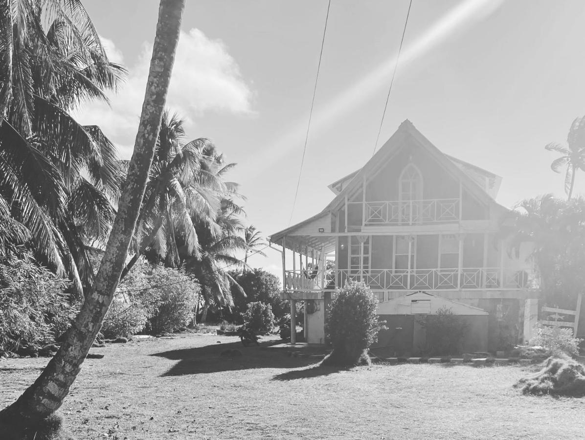 Islander House On Rocky Cay Beach Сан-Андрес Экстерьер фото